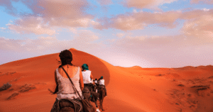 Marrakech Day Trips: 7 Best Excursions from Marrakech