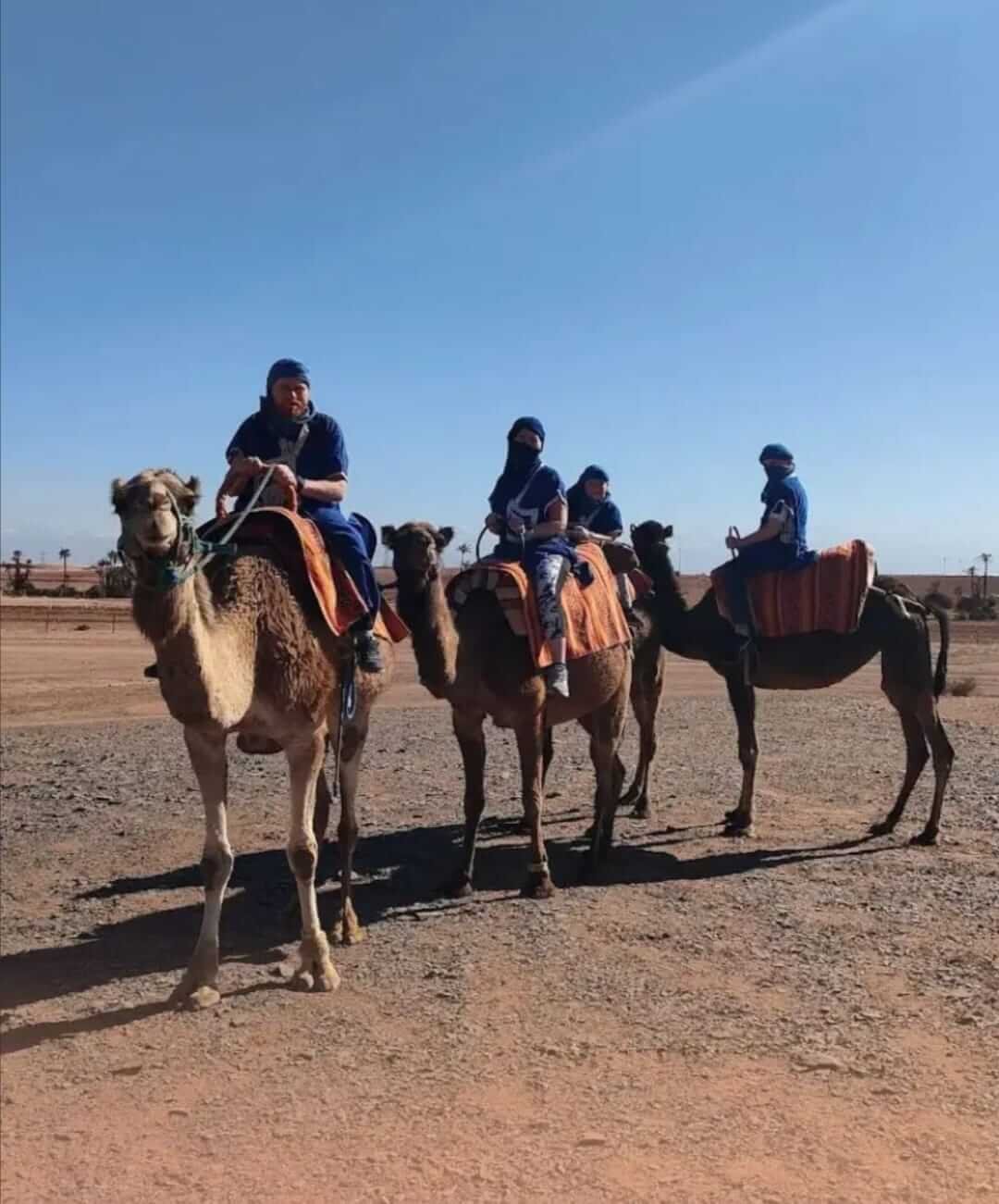 Camel caravan riding through the Agafay Desert near Marrakech
