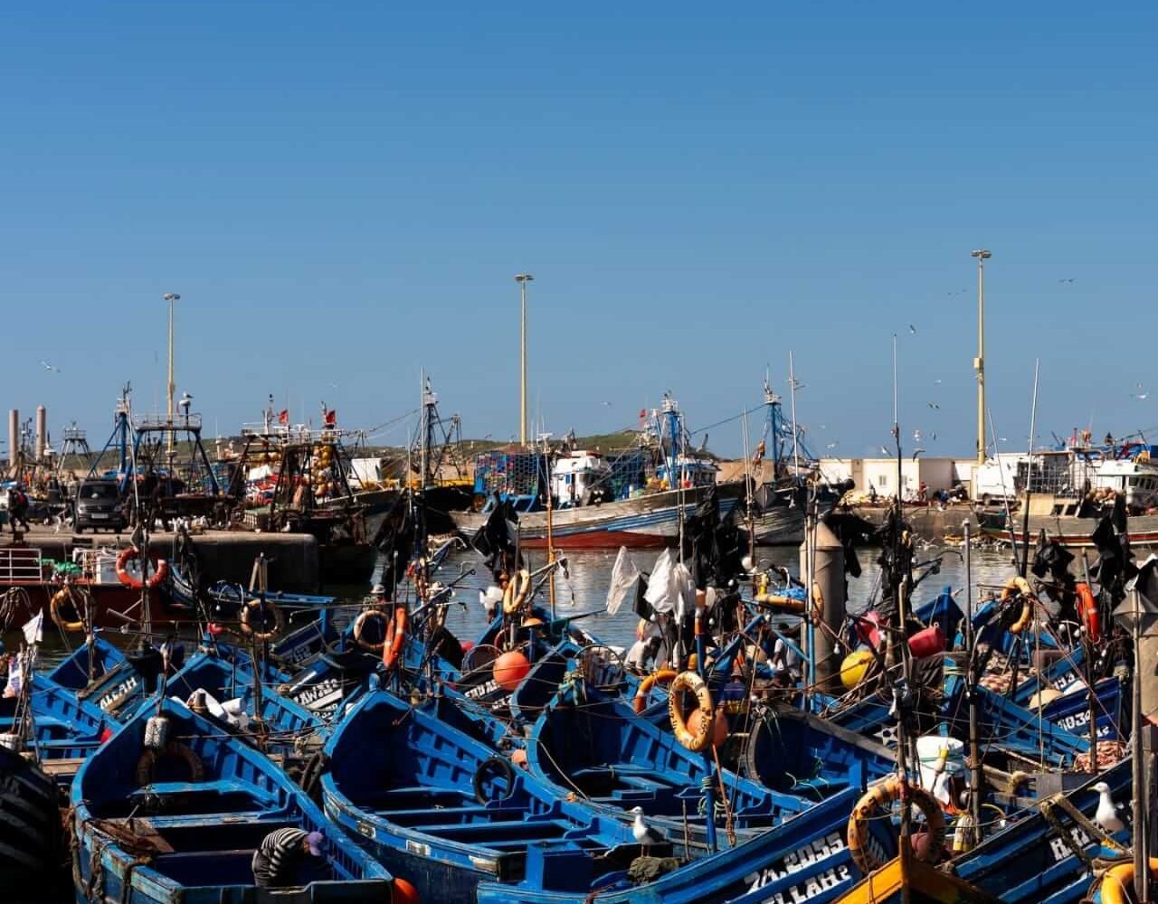 Traditional small blue fishing boats docked in Essaouira's harbor