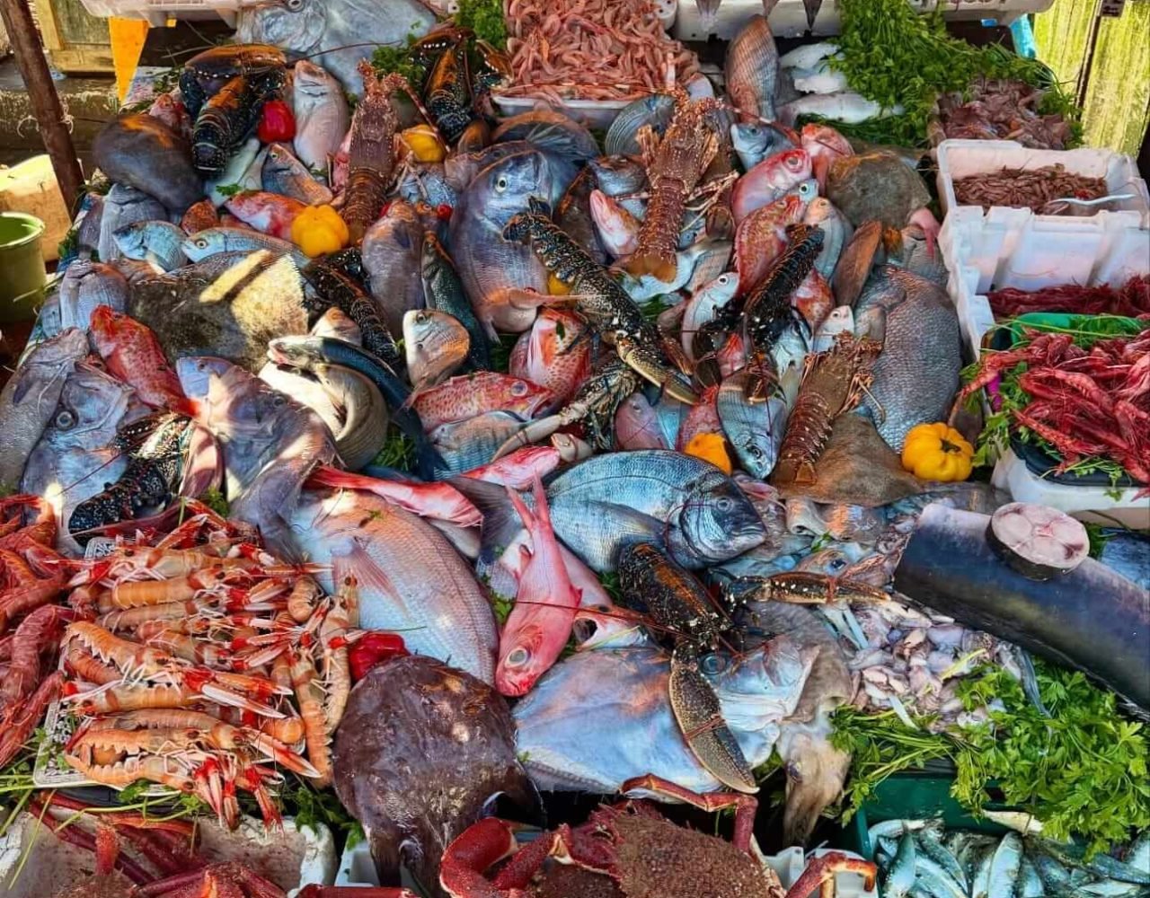 Fresh catch of assorted fish displayed at Essaouira's fishing port market