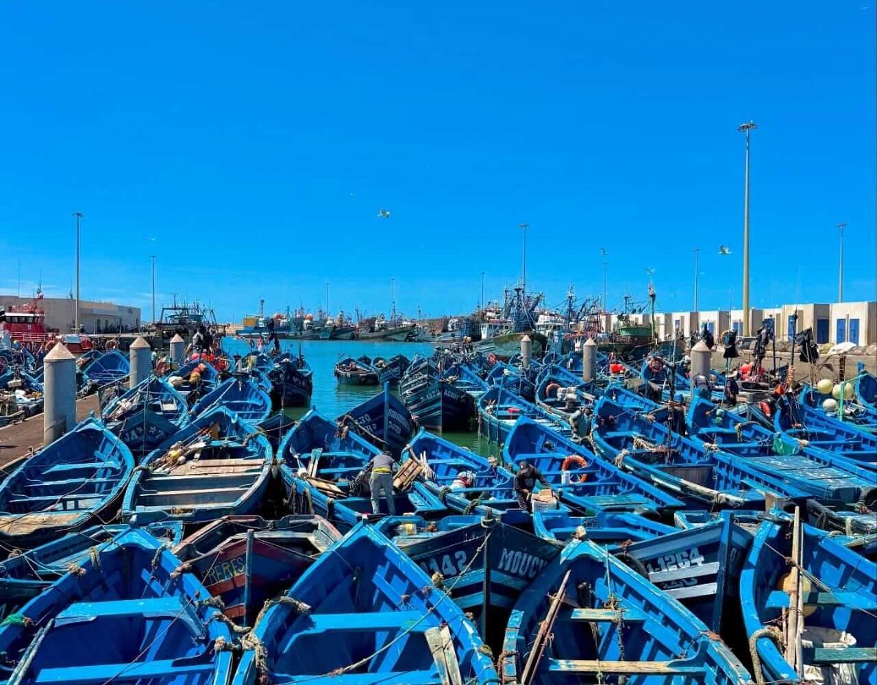 Traditional blue fishing boats lined up in Essaouira's harbor