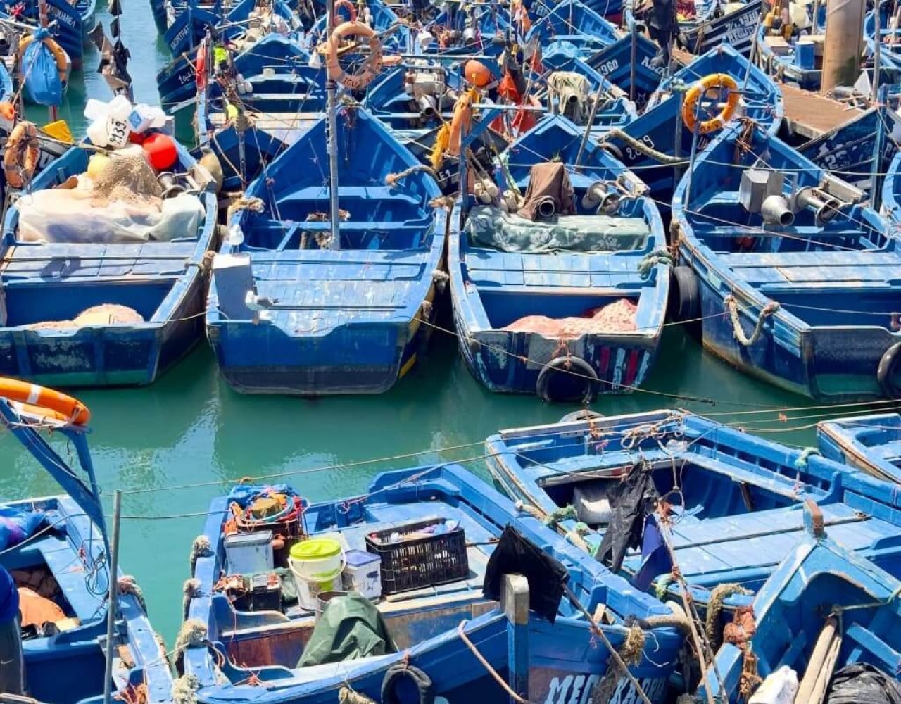 Fishing boats gathered in Essaouira's busy harbor