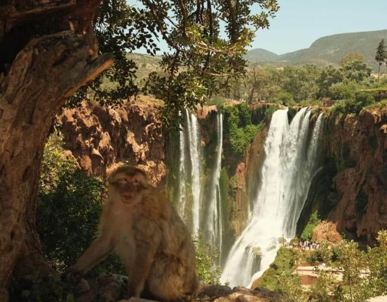 Wide view of Ouzoud Falls with surrounding valley and olive trees