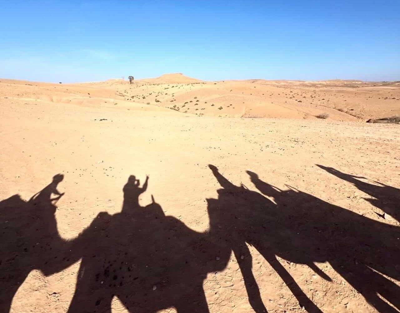 Long shadows of a camel caravan cast across the Agafay Desert sand