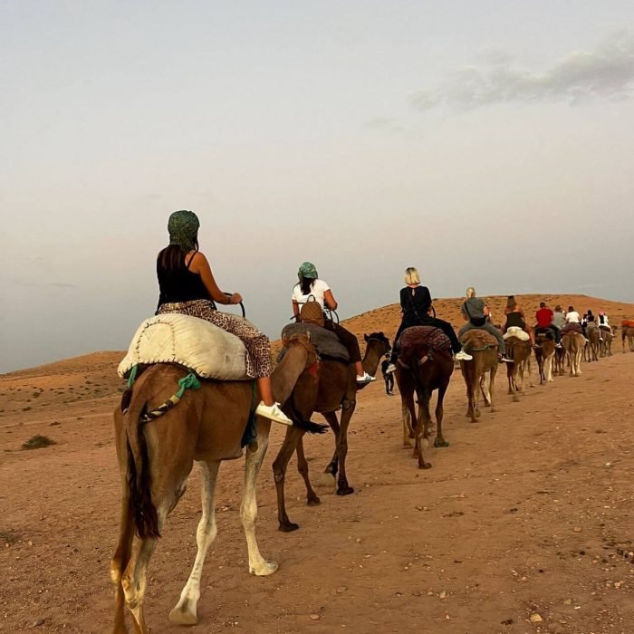 Camel caravan riding across the open Agafay Desert landscape