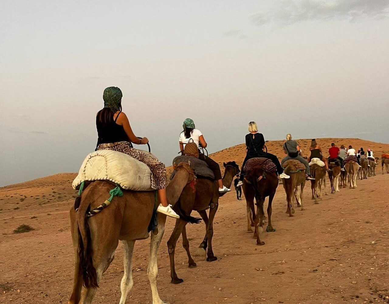 Camel caravan riding across the open Agafay Desert landscape