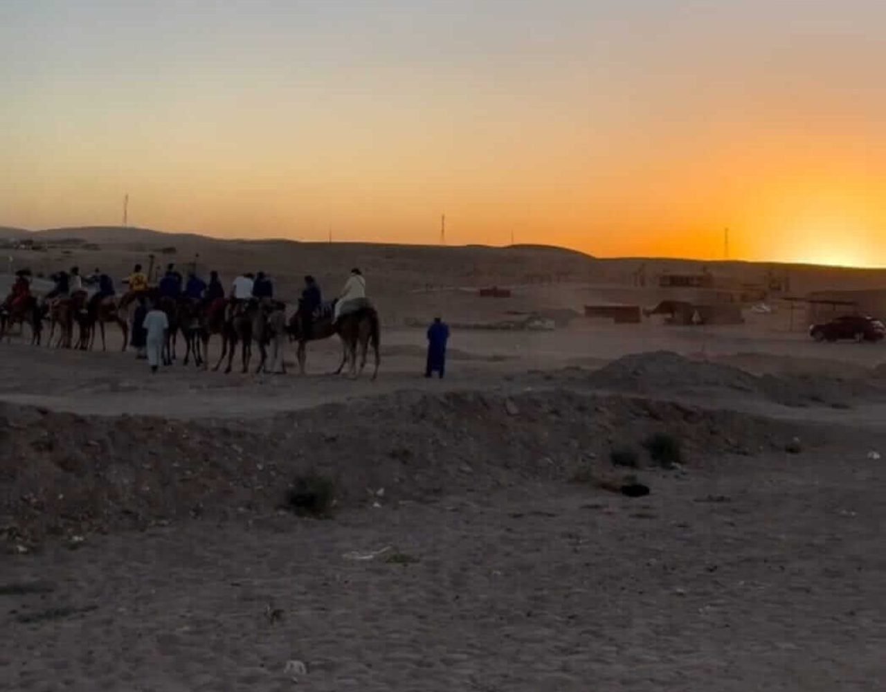 Silhouette of a camel caravan crossing the Agafay Desert at sunset