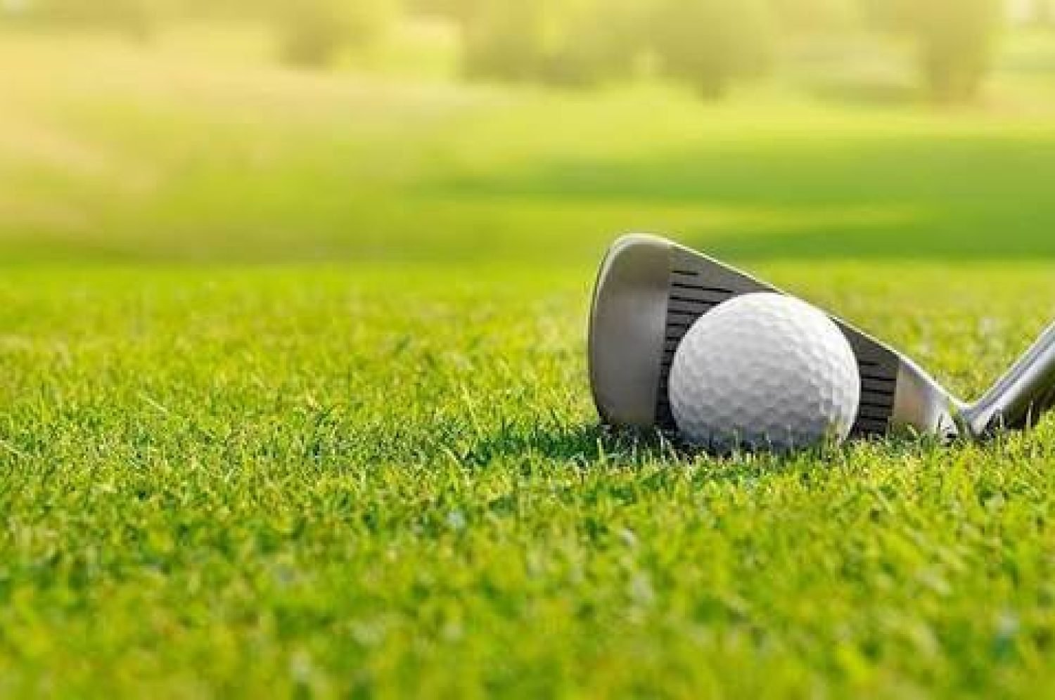 Golf Course Transfers | Marrakech Private transfer to golf courses in Marrakech