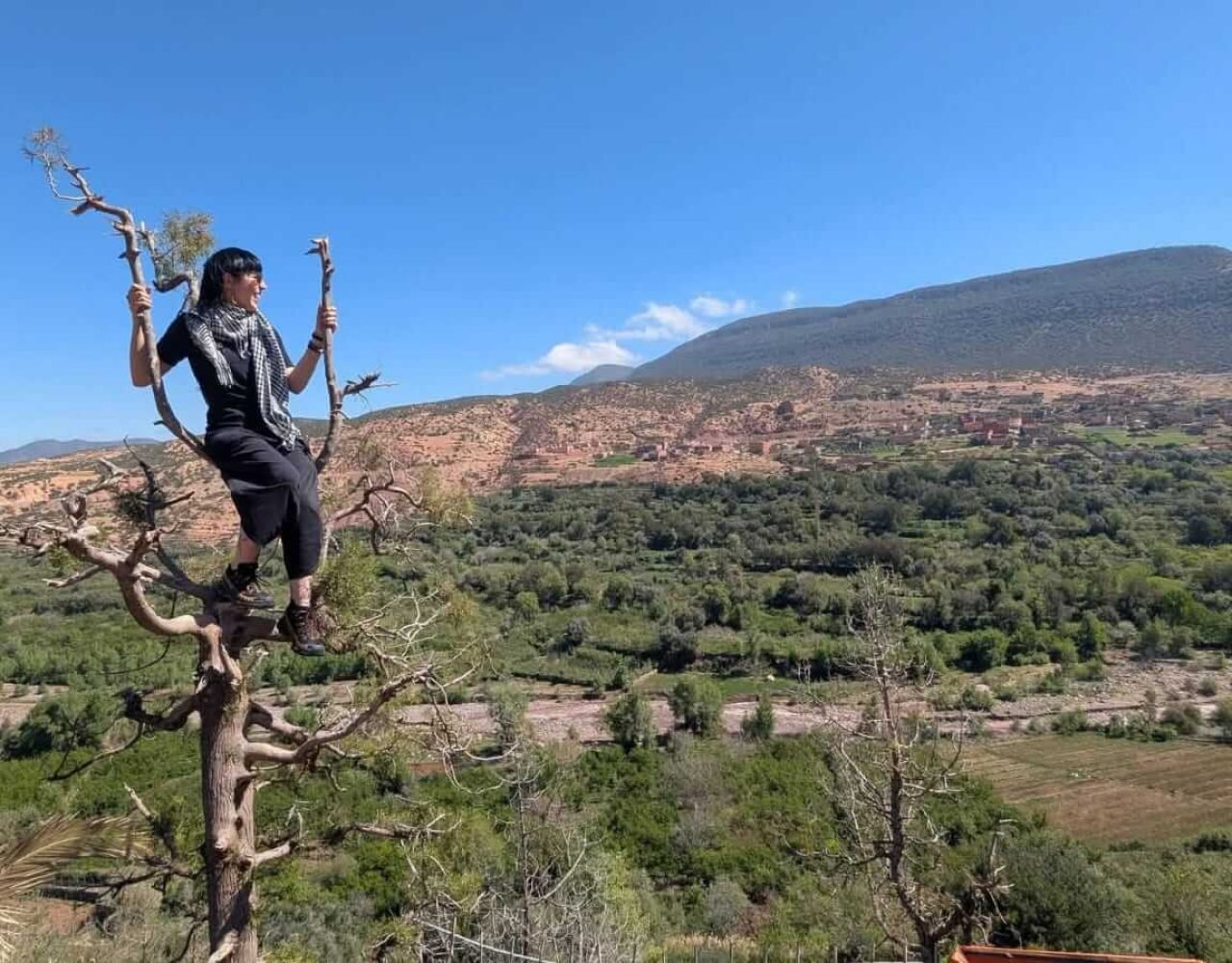 Traveler enjoying a tree-climbing experience in Imlil