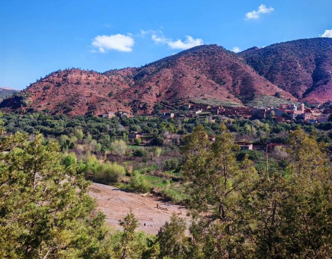 Natural view of the Atlas Mountains and trees on the road to Ourika